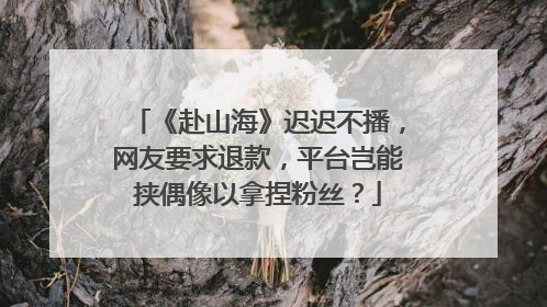 《赴山海》迟迟不播，网友要求退款，平台岂能挟偶像以拿捏粉丝？