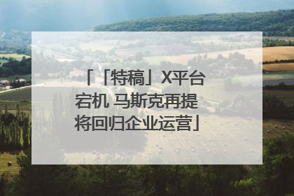 「特稿」X平台宕机 马斯克再提将回归企业运营