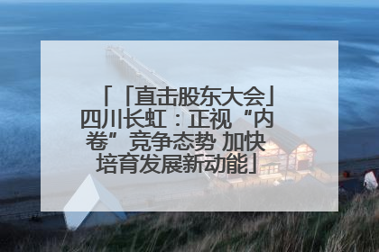 「直击股东大会」四川长虹：正视“内卷”竞争态势 加快培育发展新动能