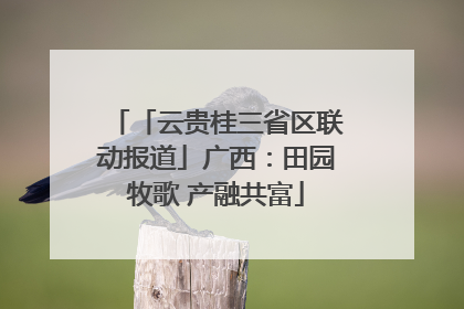 「云贵桂三省区联动报道」广西：田园牧歌 产融共富