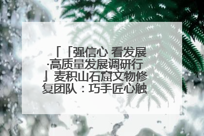 「强信心 看发展·高质量发展调研行」麦积山石窟文物修复团队：巧手匠心触摸“光阴的故事”