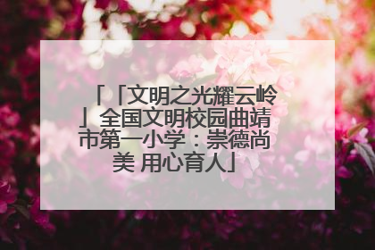 「文明之光耀云岭」全国文明校园曲靖市第一小学：崇德尚美 用心育人