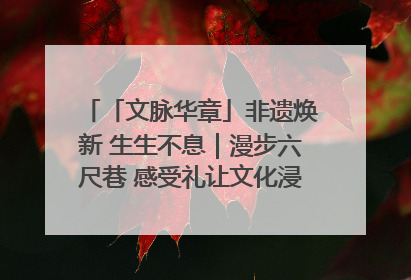 「文脉华章」非遗焕新 生生不息｜漫步六尺巷 感受礼让文化浸润的“巷”往生活