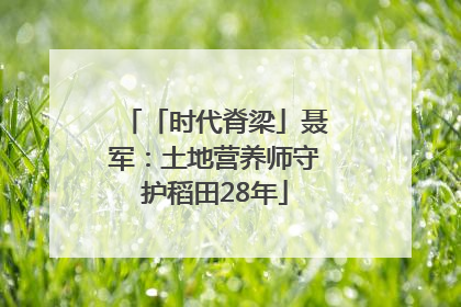 「时代脊梁」聂军：土地营养师守护稻田28年