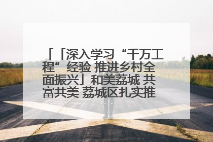 「深入学习“千万工程”经验 推进乡村全面振兴」和美荔城 共富共美 荔城区扎实推进乡村振兴工作