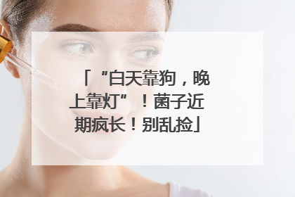 “白天靠狗，晚上靠灯”！菌子近期疯长！别乱捡