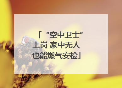 “空中卫士”上岗 家中无人也能燃气安检