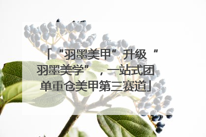 “羽墨美甲”升级“羽墨美学”，一站式团单重仓美甲第三赛道