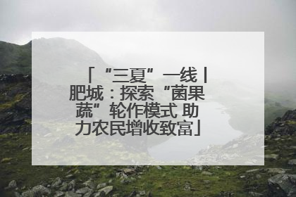 “三夏”一线丨肥城：探索“菌果蔬”轮作模式 助力农民增收致富