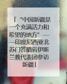 “中国新疆是一个充满活力和希望的地方”——印度尼西亚北苏门答腊省伊斯兰教代表团参访新疆