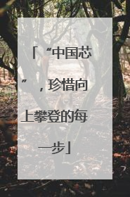 “中国芯”，珍惜向上攀登的每一步