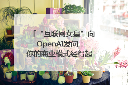 “互联网女皇”向OpenAI发问：你的商业模式经得起价格战考验么？