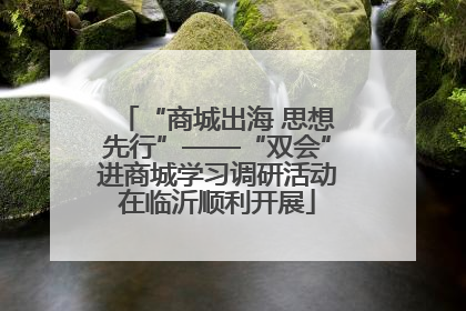 “商城出海 思想先行”——“双会”进商城学习调研活动在临沂顺利开展