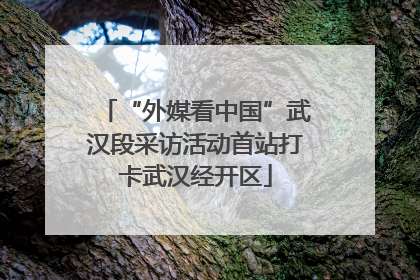 “外媒看中国”武汉段采访活动首站打卡武汉经开区