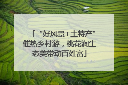 “好风景+土特产”催热乡村游，桃花涧生态美带动百姓富