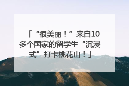 “很美丽！”来自10多个国家的留学生“沉浸式”打卡桃花山！