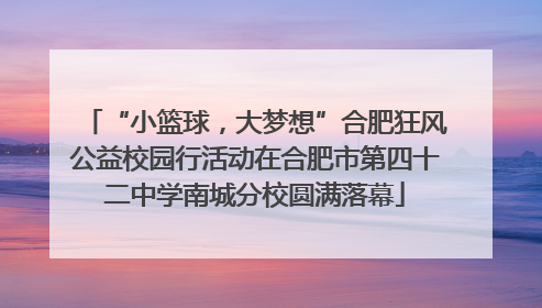 “小篮球，大梦想”合肥狂风公益校园行活动在合肥市第四十二中学南城分校圆满落幕