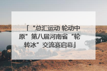 “总汇运动 轮动中原”第八届河南省“轮转冰”交流赛启幕