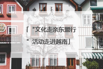 “文化走亲东盟行”活动走进越南