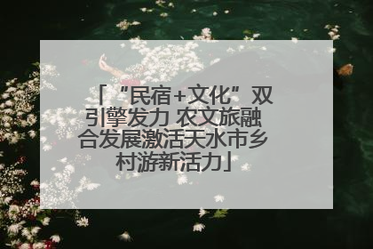 “民宿+文化”双引擎发力 农文旅融合发展激活天水市乡村游新活力