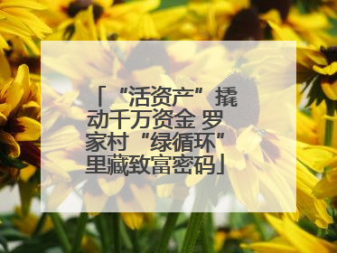“活资产”撬动千万资金 罗家村“绿循环”里藏致富密码