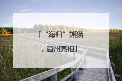 “海归”熊猫，温州亮相