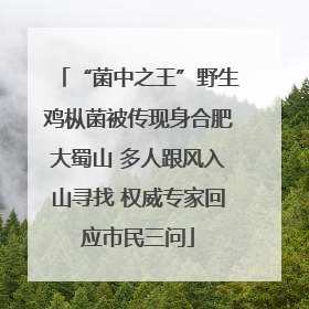 “菌中之王”野生鸡枞菌被传现身合肥大蜀山 多人跟风入山寻找 权威专家回应市民三问
