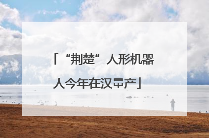 “荆楚”人形机器人今年在汉量产