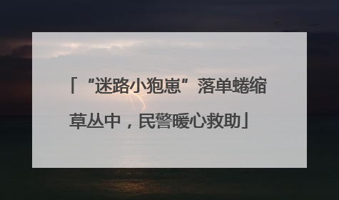 “迷路小狍崽”落单蜷缩草丛中，民警暖心救助