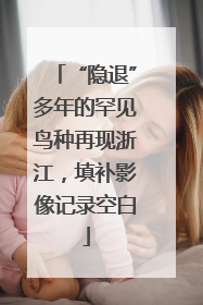 “隐退”多年的罕见鸟种再现浙江，填补影像记录空白