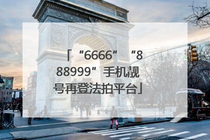 “6666”“888999”手机靓号再登法拍平台