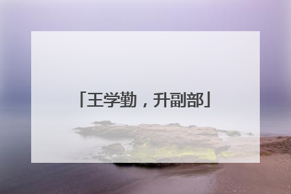王学勤，升副部