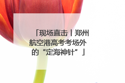 现场直击丨郑州航空港高考考场外的“定海神针”
