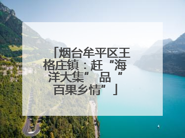 烟台牟平区王格庄镇：赶“海洋大集” 品“百果乡情”
