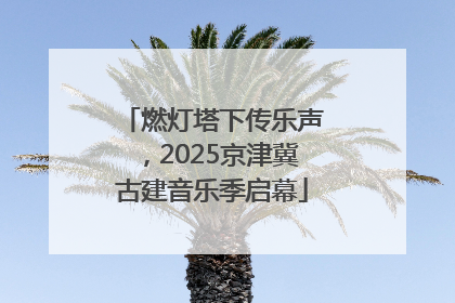 燃灯塔下传乐声，2025京津冀古建音乐季启幕