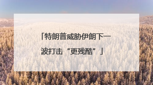 特朗普威胁伊朗下一波打击“更残酷”