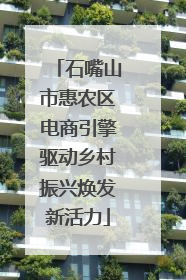石嘴山市惠农区电商引擎驱动乡村振兴焕发新活力