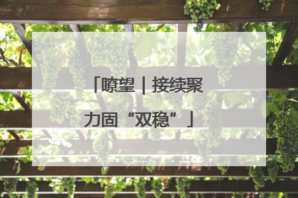 瞭望｜接续聚力固“双稳”