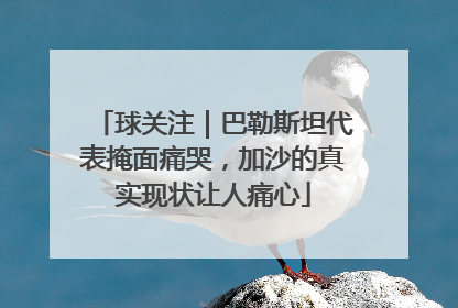 球关注｜巴勒斯坦代表掩面痛哭，加沙的真实现状让人痛心