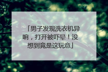 男子发现洗衣机异响，打开被吓晕！没想到竟是这玩意