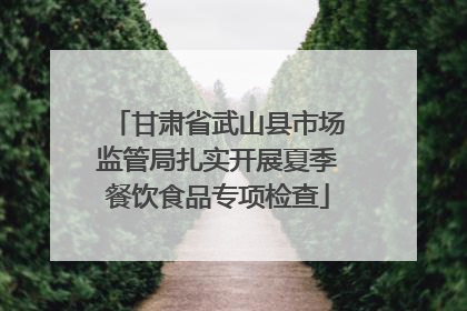 甘肃省武山县市场监管局扎实开展夏季餐饮食品专项检查