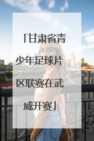 甘肃省青少年足球片区联赛在武威开赛