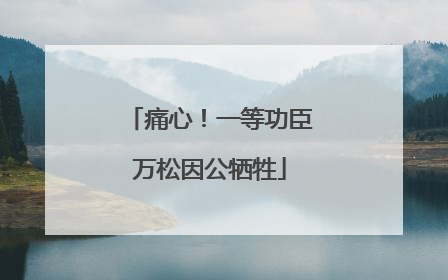 痛心！一等功臣万松因公牺牲