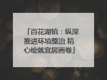 百花湖镇：纵深推进环境整治 精心绘就宜居画卷