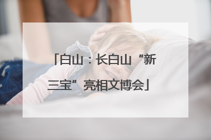 白山：长白山“新三宝”亮相文博会