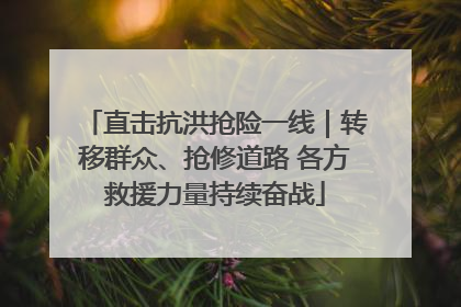 直击抗洪抢险一线｜转移群众、抢修道路 各方救援力量持续奋战