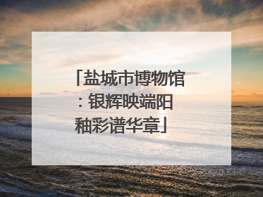 盐城市博物馆：银辉映端阳 釉彩谱华章