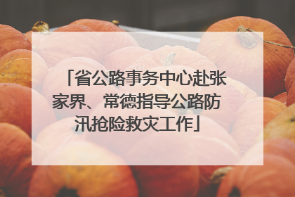 省公路事务中心赴张家界、常德指导公路防汛抢险救灾工作