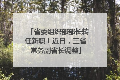省委组织部部长转任新职！近日，三省常务副省长调整