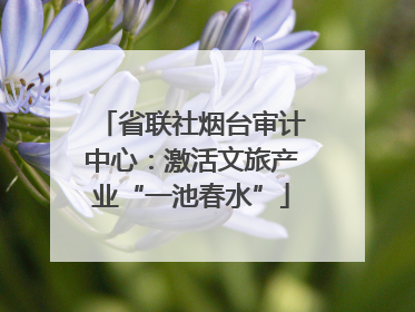 省联社烟台审计中心：激活文旅产业“一池春水”